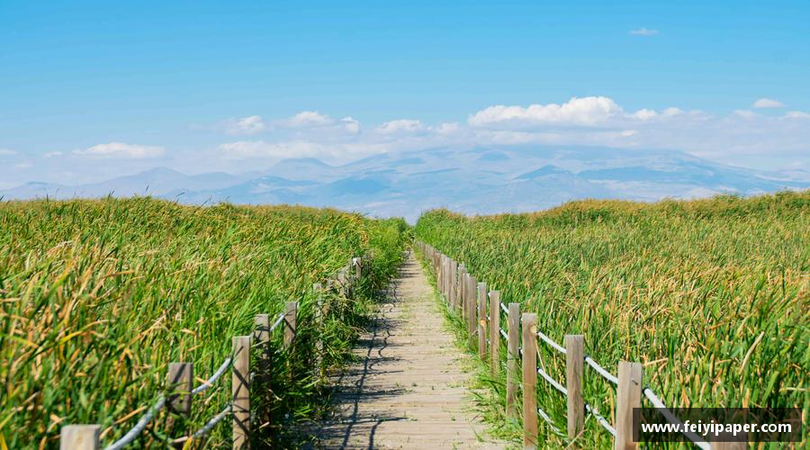 米乐m6官网登录入口奋力前行，勇往直前